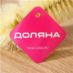 Ёршик для посуды с деревянной ручкой Доляна, 37×7 см