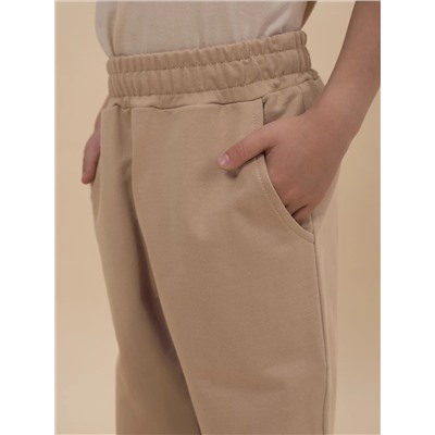 PELICAN Брюки BFPQ3321U