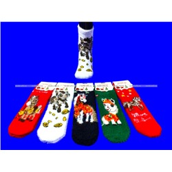 MORRAH носки подарочные НОРКА КАШЕМИР Символ 2026 года арт. 2659