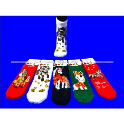 MORRAH носки подарочные НОРКА КАШЕМИР Символ 2026 года арт. 2659