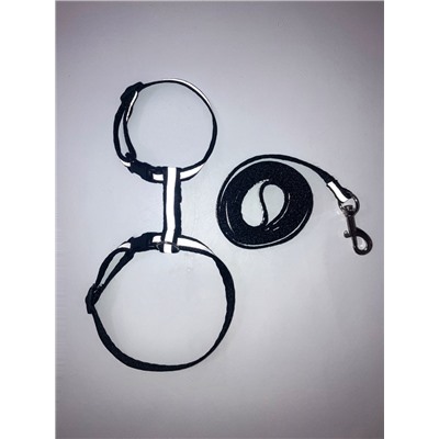 Комплект для кошек светоотражающий, ширина 1 см, шлейка 21-35 см, поводок 120 см, чёрный