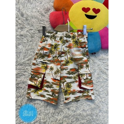 Шорты #22434774