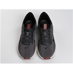 Кроссовки Nike Pegasus Plus