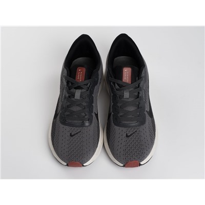 Кроссовки Nike Pegasus Plus