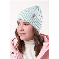 Шапка CLEVER, 1087900