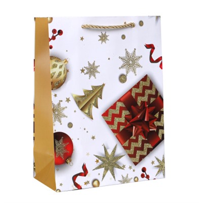 Пакет подарочный 18х24х8,5 / 5670-S /уп 12/720/ микс Новый год
