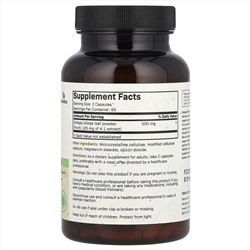 Futurebiotics, Гинкго билоба, 120 вегетарианских капсул (250 мг на капсулу)