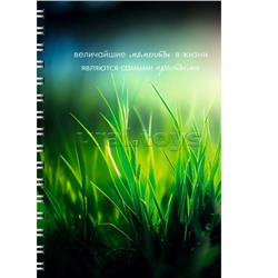 Тетрадь 80л. линия "Моменты" А4 обложка мелованный картон. Евроспираль. Бумага белый офсет 60г/м2.