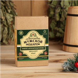 Новогодний набор ароматизаторов «Мужской подарок», кедр, эвкалипт, 2 шт. по 100 мл