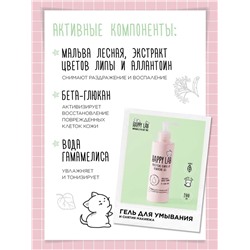 Happy Lab Набор средств для ухода за кожей лица Dream Face: Мицеллярная вода, гель для умывания, очищающая маска, 300 мл, 200 мл x 2 28084