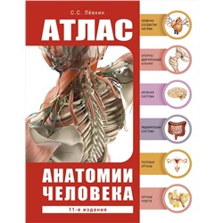 АСТ Лёвкин С.С. "Атлас анатомии человека"