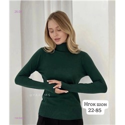 Водолазка 1983982-1