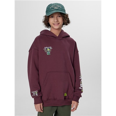 ХУДИ ДЛЯ МАЛЬЧИКОВ 123416-1