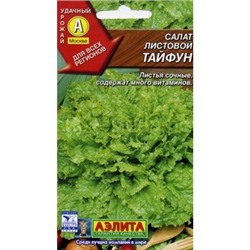 Салат Тайфун лист.(Аэлита)