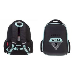 Рюкзак школьный "ЭРГОНОМИК ЛАЙТ .ЧТО?" 38х29х16 см (077762) 85001 Хатбер