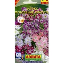 Флокс Мгновение красоты смесь (Аэлита)