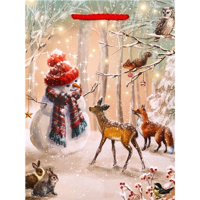 Пакет подарочный новогодний ламинированный, «Встреча друзей», 18×10×22.3 см