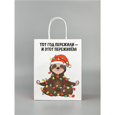 Пакет бумажный подарочный новогодний крафт, «Тот год пережили и этот переживем», 27×21×11 см