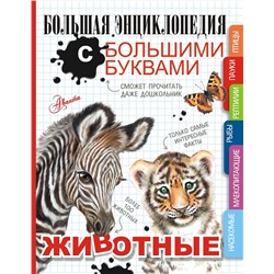 АСТ Попова И.М., Спектор А.А., Вайткене Л.Д. "Животные"