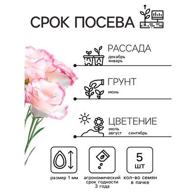 Семена цветов Эустома «Эйбиси роуз рим», F1, крупноцветковая махровая, 5 шт., однолетник, «Аэлита» селекция PanAmerican Seed