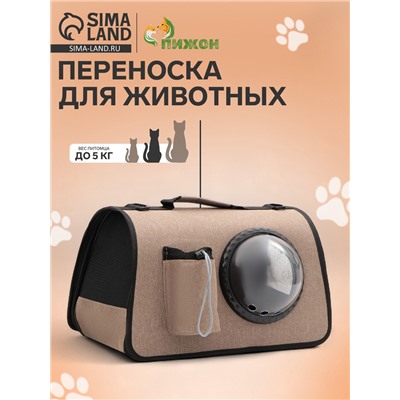 Сумка - переноска, 43×24×28 см, с органайзером и иллюминатором, коричневая