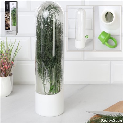 Контейнер для хранения зелени в холодильнике 25 см, пластик / 881-010 /