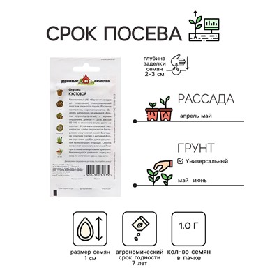 Семена Огурец "Кустовой", 1,0 г