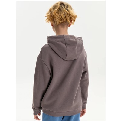 PELICAN Толстовка BFNK3387