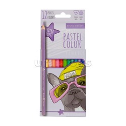 Карандаши цветные "Easycolor" пастельные, 12 цв.