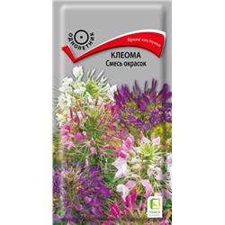 Клеома Смесь окрасок (П)