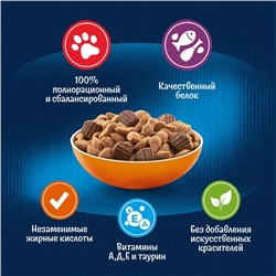 Сухой корм Felix «Двойная вкуснятина» для кошек, птица, 600 г