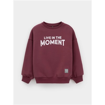 CROCKID Свитшот КР 302802