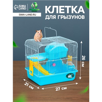 Клетка для грызунов «Пижон», укомплектованная, 27×21×26 см, голубая