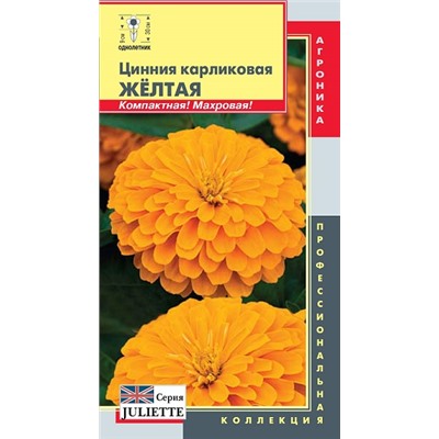 Цинния Желтая серия Джульетта (Код: 92222)