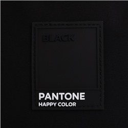 Рюкзак школьный 39×30×14 см Black