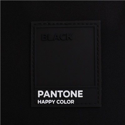 Рюкзак школьный 39×30×14 см Black