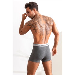 Трусы, набор - 3 штуки муж BeGood UMJ1203F Underwear темно-серый меланж/бургунди/темно-синий