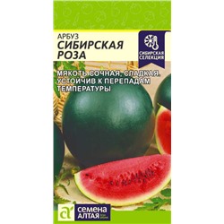 Арбуз Сибирская Роза Сем.Алтая
