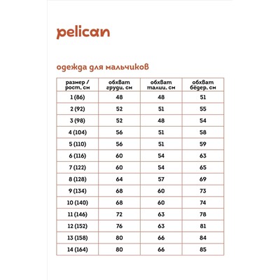 Брюки PELICAN, 965104