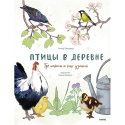 Эксмо Анна Евсеева, художник Маша Шебеко "Птицы в деревне. Где найти и как узнать"
