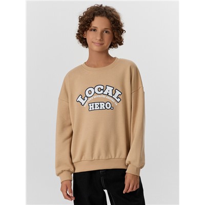 СВИТШОТ ДЛЯ МАЛЬЧИКОВ 123466