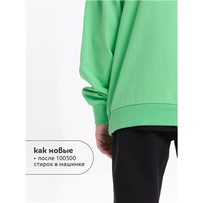 PELICAN Толстовка BFN3369