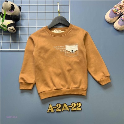 кофта с начесом 1819150-2