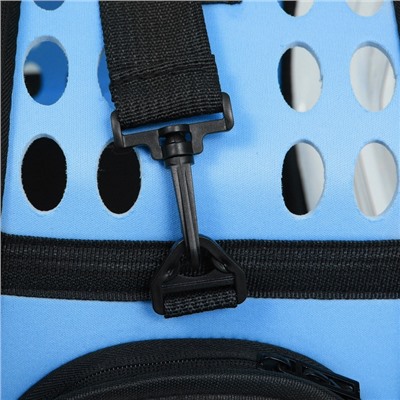 Переноска для животных, 42×32×28 см, прозрачная, голубая