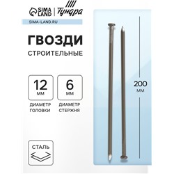 Гвозди ТУНДРА, строительные, ГОСТ 4028-63, без покрытия, 6×200 мм, 5 кг