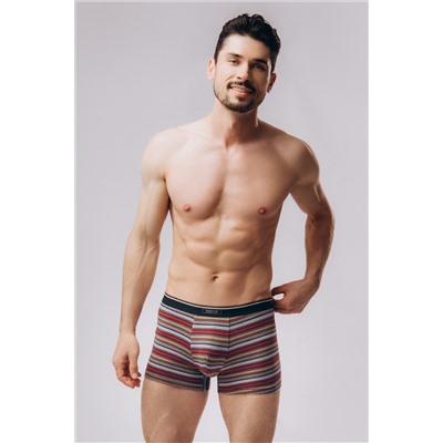 Трусы INDEFINI, 1200107