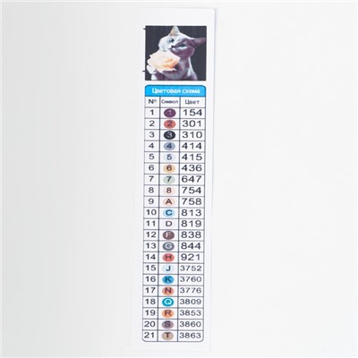 Алмазная вышивка полное заполнение «Котенок с розой», на раме, 40×50 см