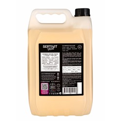 Гель для стирки Septivit Special Rose Oud, парфюмированный, для всех видов тканей, 5 л