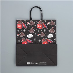 Пакет подарочный новогодний крафтовый «Подарочек тебе», 28×32×15 см