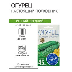 Семена Огурец Настоящий полковник F1, ранний, партенокарпический, 8  шт